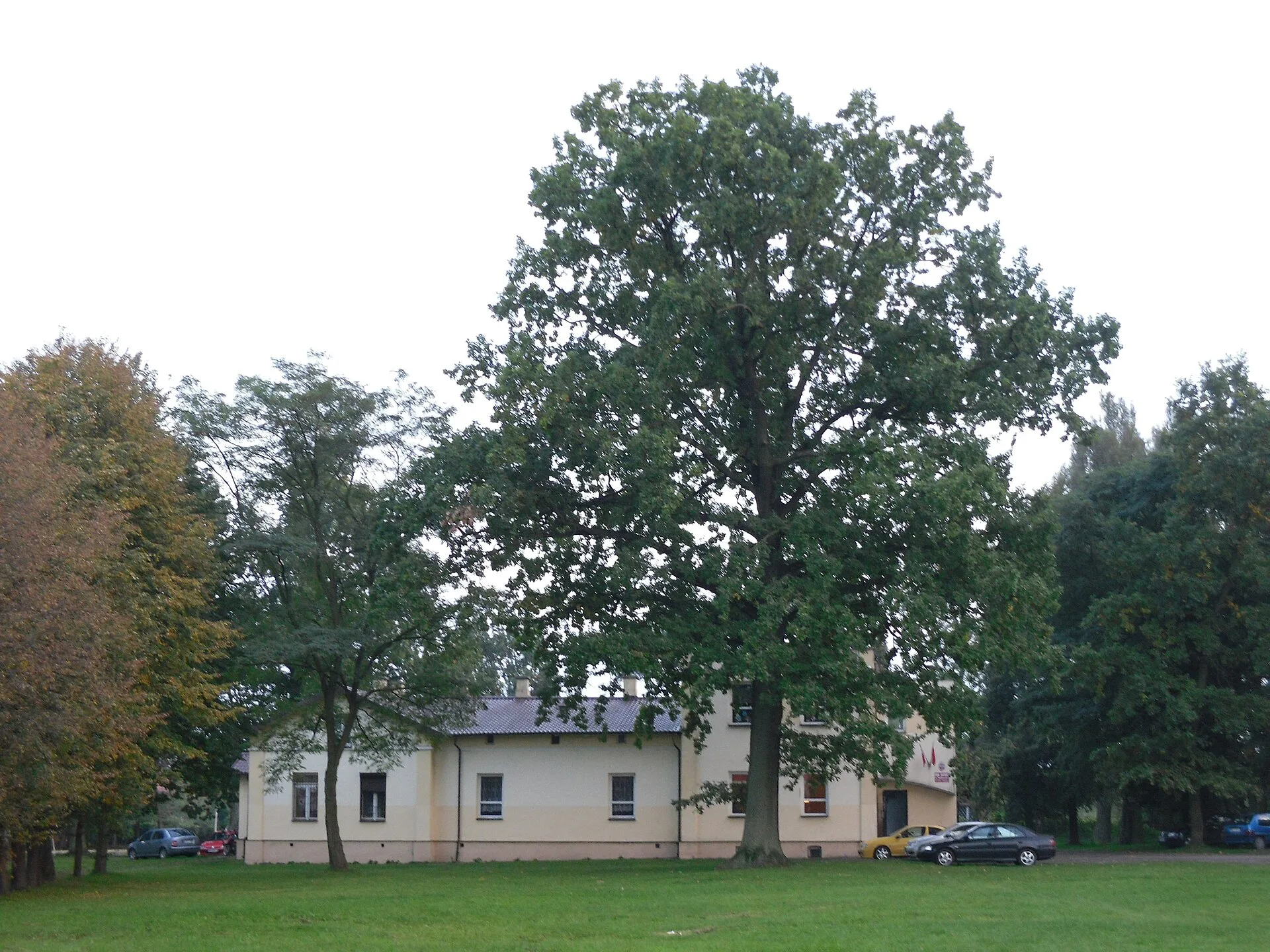 Halinów - Halinów - manor